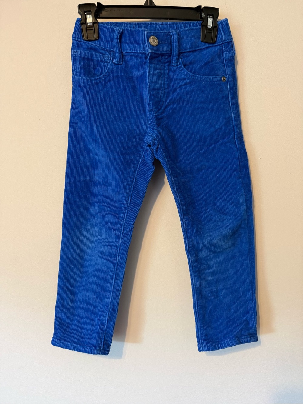 GAP Slim Corduroy Pants in Royal Blue
